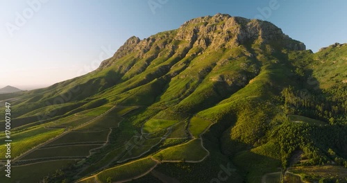 Aerial view of lush green vineyards cascading down from a rugged mountain peak under a clear sky, Stellenbosch, Western Cape, South Africa.