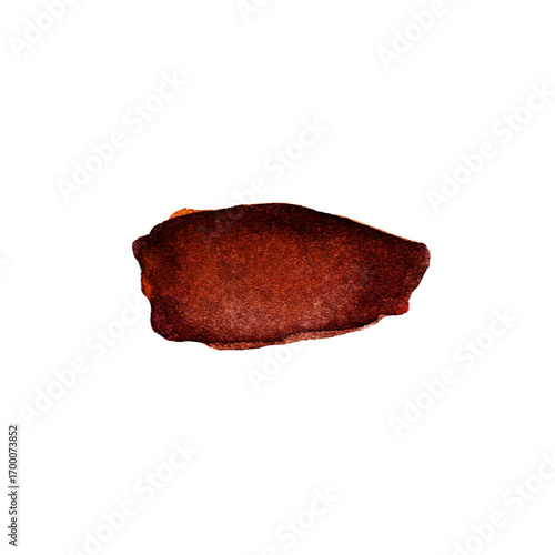 Natural brown rock formation with unique textures rests on a white background. The smooth and rough surfaces highlight geological features and provide visual interest.