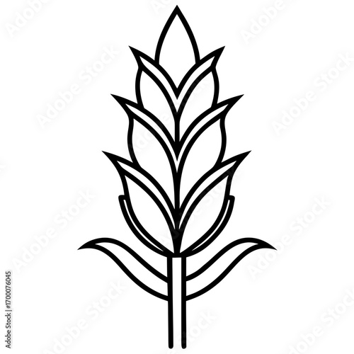 Rice Plant Silhouette