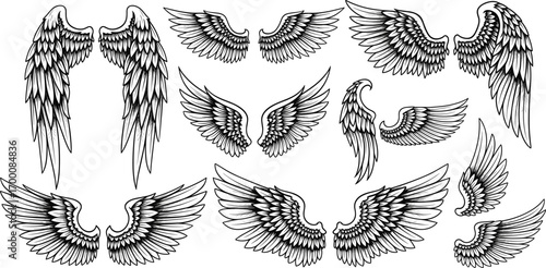 Black and white vector set of stylized wing illustrations with feather details for fantasy, tattoo, and graphic design themes