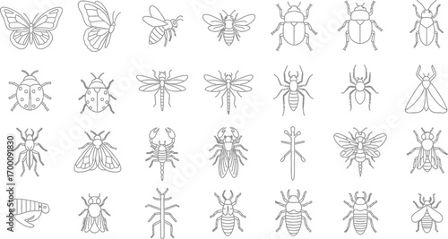 Collection of various insect species, showcasing diversity of nature and intricate details of each creature