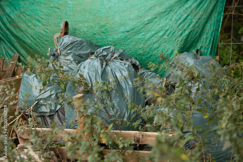 Φωτογραφία Multiple green garbage bags filled with garden waste in front of a tarp