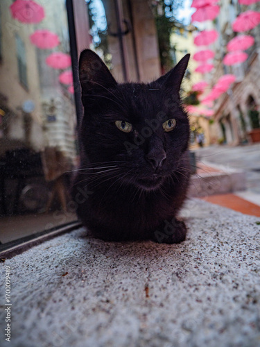 Grasse, Provence Alpes Cote d'Azur, France, Var, 9/1/25. La ville de parfum. Grasse, Provenza, Francia, 9/1/25. La città dei profumi del sud della Francia con la vista sul mar mediterraneo