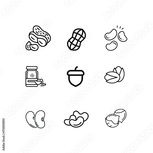 Various nuts and seeds illustration.