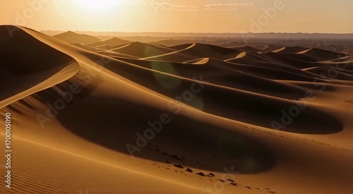 Golden desert dunes bathed in warm sunlight, creating a serene and vast landscape.