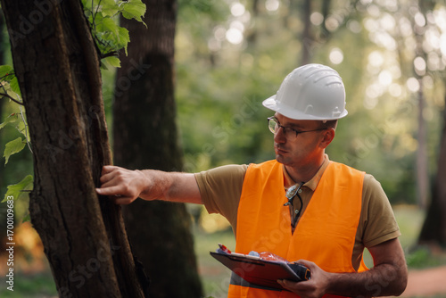 Forestry engineer inspecting trees in a forest for pests and diseases