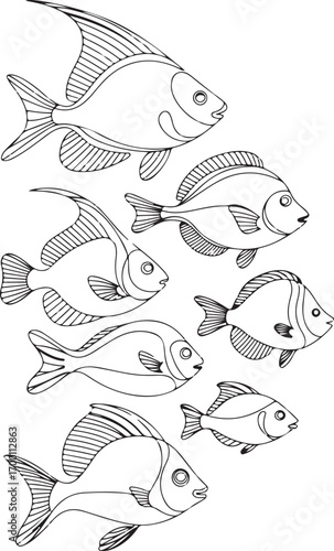 fish vector illustration