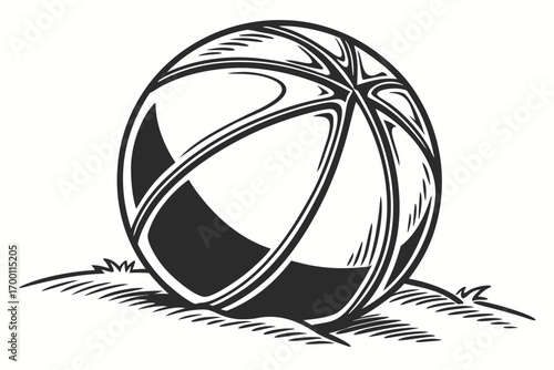 Stylized black and white basketball on grass illustration