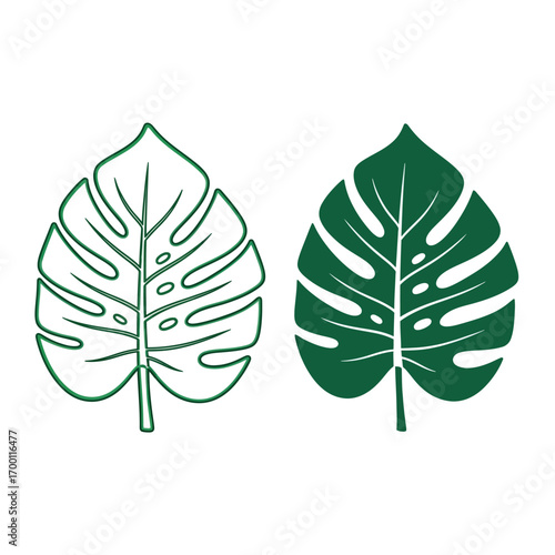 Stylized green Monstera plant leaves, depicted as a line art drawing and a solid silhouette, on a white background.