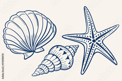 Nautical line art collection of seashells and starfish