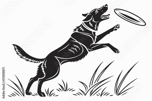 Energetic dog leaping to catch a flying disc
