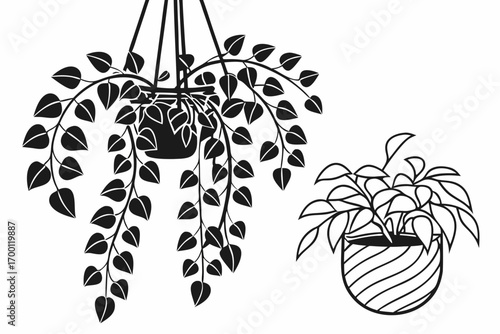 Two potted plants one hanging and one on a striped pot