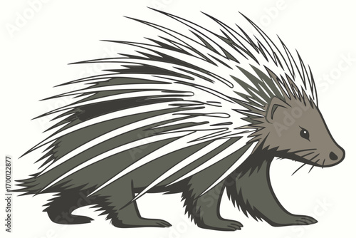 Stylized porcupine illustration with sharp quills