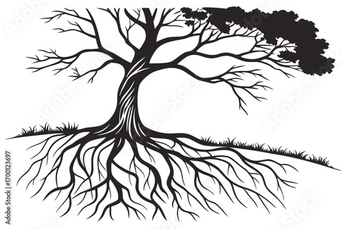 Stylized tree silhouette with exposed roots and foliage