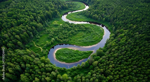 Aerial view of a winding river through a lush green forest