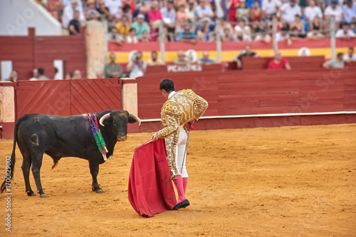 Bild auf Leinwand A matador in a golden suit holds a red cape while facing a black bull in the arena during a bullfight in Almeria, Spain, with spectators watching
