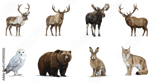 Wild Animals Collection Isolated on White Background Featuring Forest Creatures and Birds of Prey