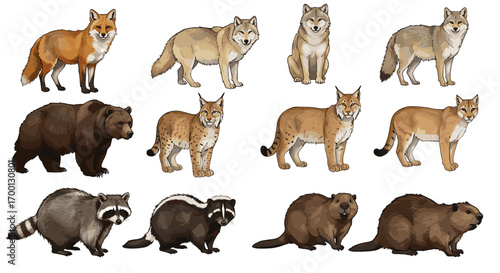 Collection of North American Wild Animals Realistic Pixel Art Style Isolated on White Background