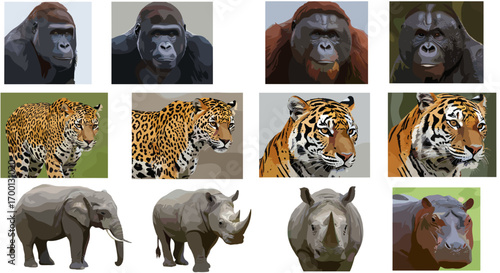 Majestic Primate and Powerful Big Cat Wildlife Portraits Isolated on White Background Animal Collection