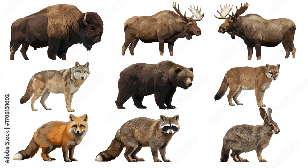 Obraz premium Collection of North American Wildlife Animals Standing Isolated on White Background for Nature Exploration