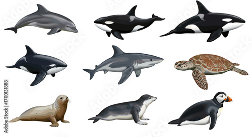 Marine Life Collection Featuring Dolphins Whales Sharks Turtles Seals Penguins Isolated On White