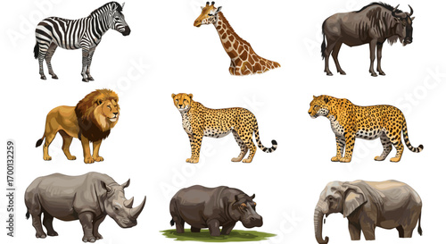Collection of African Savanna Wildlife Animals Isolated on White Background