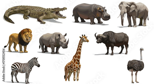 Collection of African Safari Animals in Realistic Style Isolated on White Background