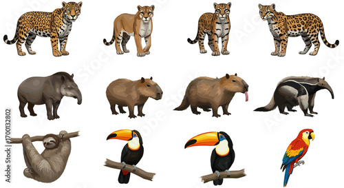 Collection of Diverse South American Wildlife Jaguars Tapirs Capybaras Toucans Sloths Anteaters Macaws