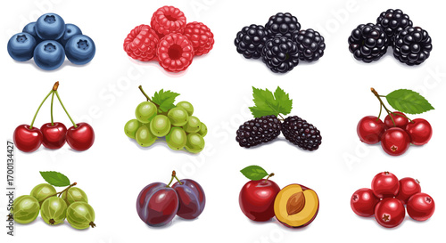 Collection of Fresh Mixed Berries and Fruits Isolated on White Background
