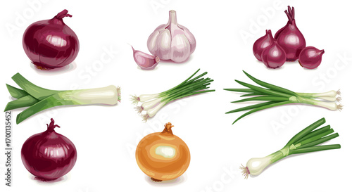 Collection of Fresh Red Onions Garlic Leeks and Spring Onions Isolated on White Background