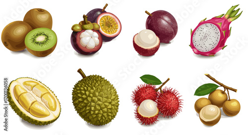 Exotic Tropical Fruits Assortment Featuring Kiwi Passionfruit Mangosteen Lychee Dragonfruit Durian and Rambutan isolated on white background