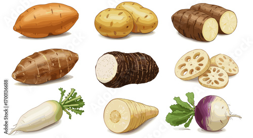 Assorted Root Vegetables Collection Fresh Healthy Organic Produce Isolated on White Background