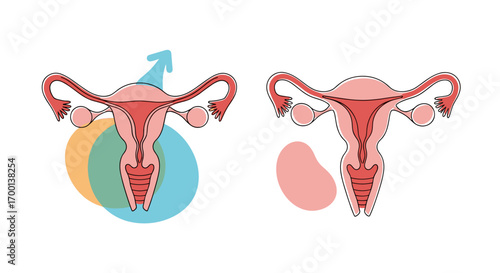 Understanding reproductive health and fertility concepts for biological sex determination and genetic factors in conception