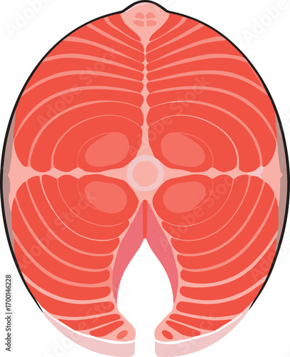 Fresh Salmon Fillet Vector Illustration
