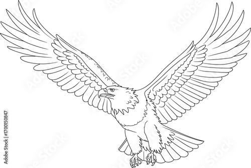 Eagle with wings spread flying upward, line art drawing perfect for coloring books, wildlife education, tattoo design, vector illustration, printable artwork