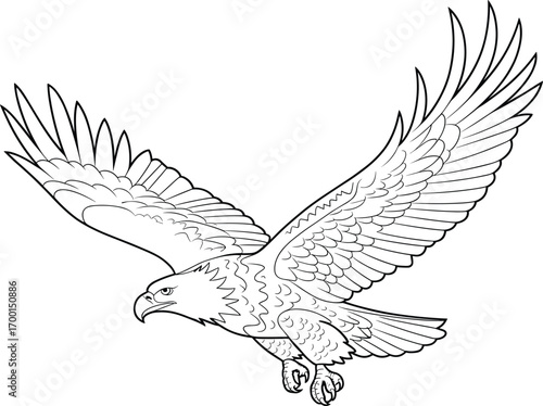 Flying eagle line art illustration, majestic bird of prey with spread wings, perfect for coloring book, tattoo design, educational wildlife projects
