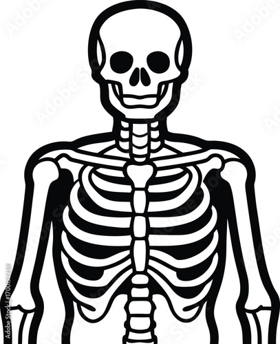 xray scan bones healthcare vector.
