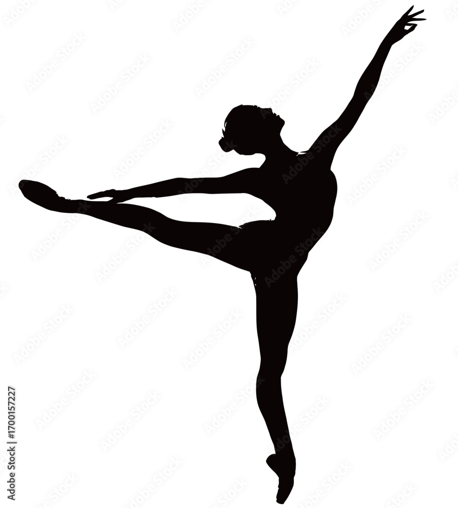 Fototapeta premium A dancer balances on one leg while extending the other high, showcasing poise and flexibility. The silhouette emphasizes the beauty of movement and form.