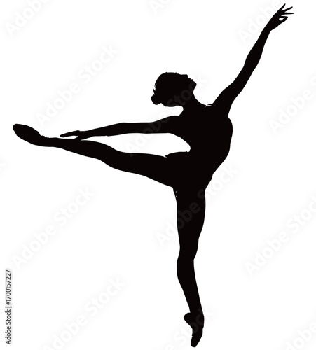 A dancer balances on one leg while extending the other high, showcasing poise and flexibility. The silhouette emphasizes the beauty of movement and form.