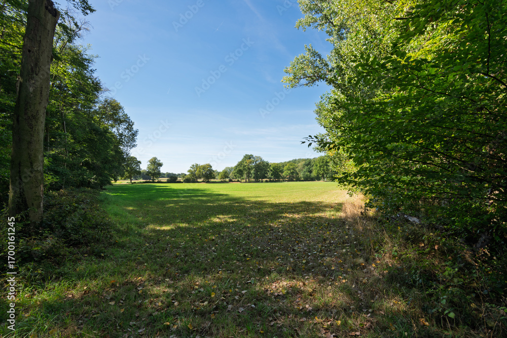 Obraz premium path in the park