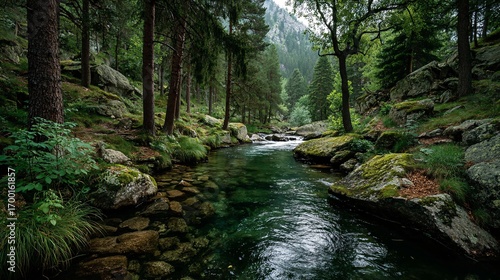 Crystal clear mountain stream flowing through lush green forest with rocks and nature.