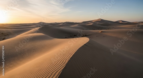 Fototapeta Naklejka Na Ścianę i Meble -  Golden Hour in the Desert - Sand Dunes at Sunset.