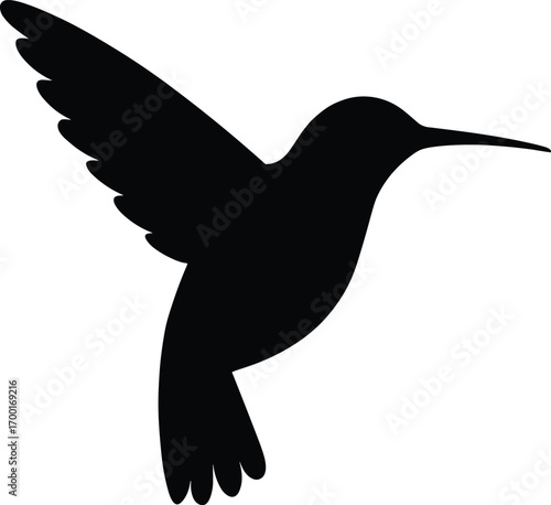 vector silhouette, hummingbird hovering beak forward, side profile, solid black