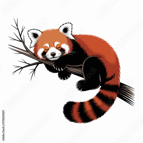 Sleeping Red Panda on Tree Branch