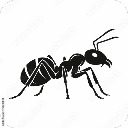Ant silhouette graphic design