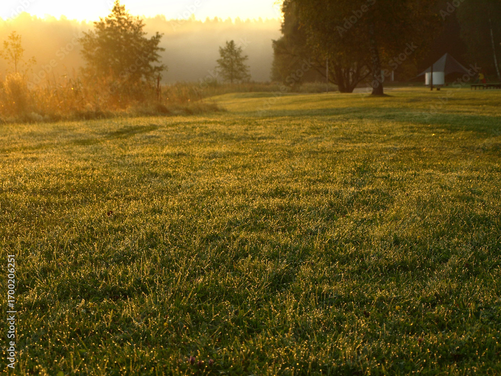 Obraz premium sunrise landscape by the lake, calm and quiet morning, morning dew on the meadow, autumn vegetation