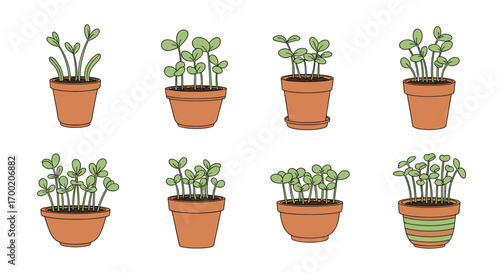 Collection of eight potted plants with green sprouts growing in clay containers for indoor gardening and home cultivation