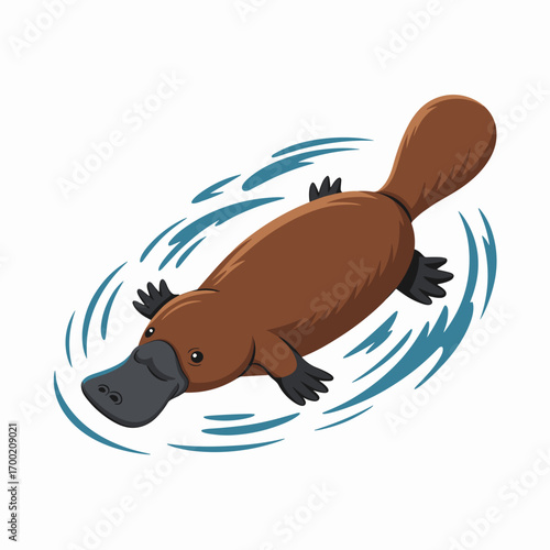 Platypus Swimming Illustration