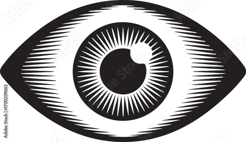 Simple Vector Icon of Eye in Black and White