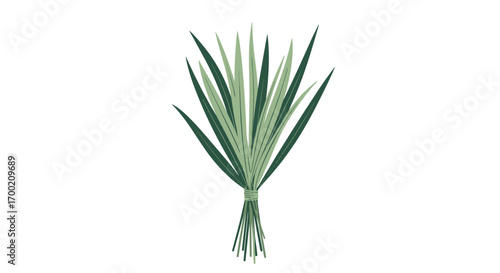 Decorative illustration of a stylized bunch of green grass or reeds tied together with twine at the base with roots showing